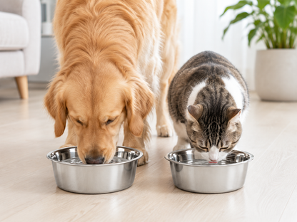 Flamingo Baldwin Stainless Steel Pet Bowl