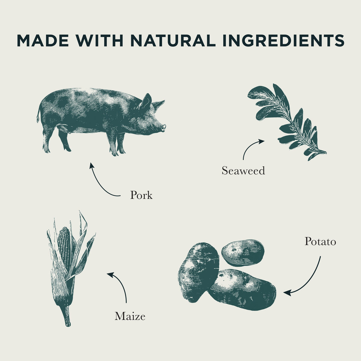 Burns Sensitive Pork & Potato ingredient illustration showing pork, potato, maize and seaweed