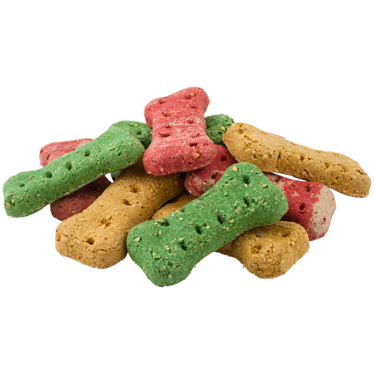Coloured Bone Dog Biscuits