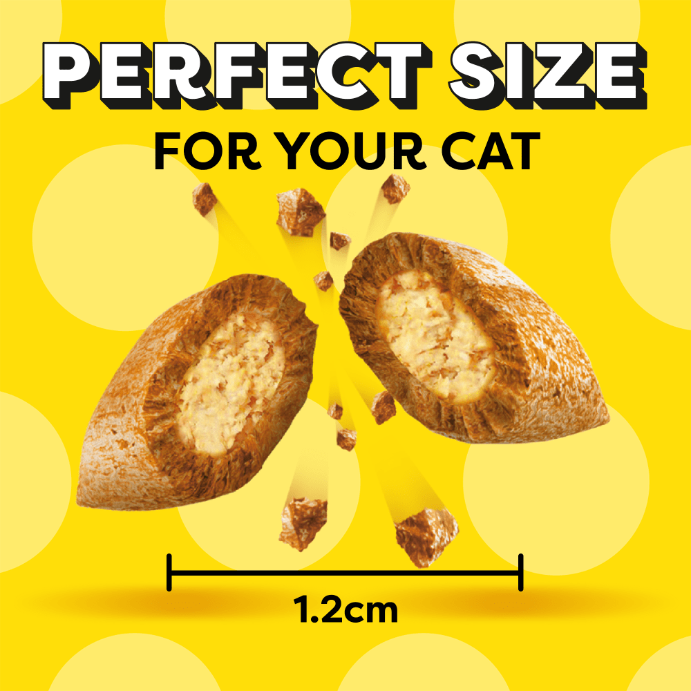 DREAMIES cat treats crunchy outside soft inside size illustration
