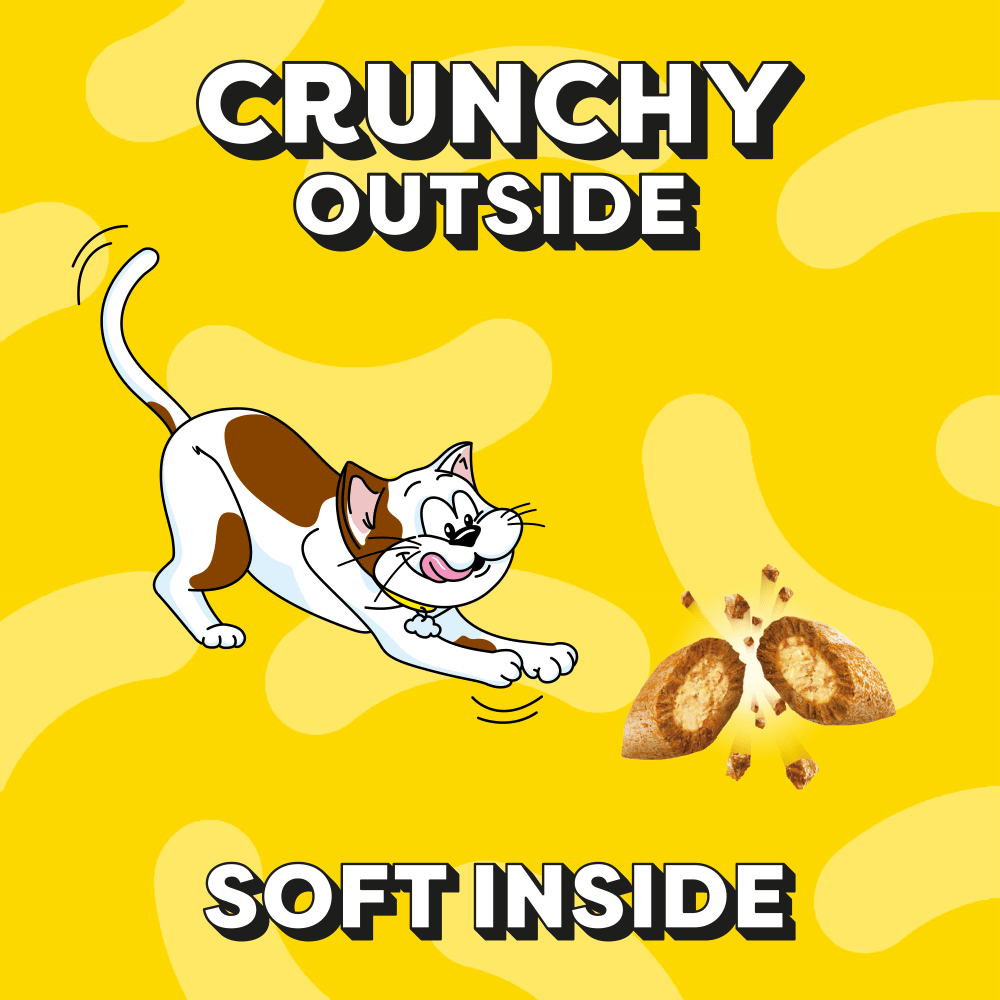 DREAMIES crunchy outside soft inside cat treats illustration