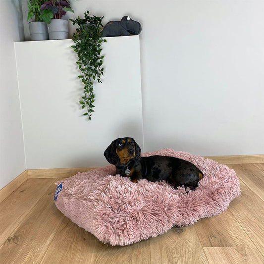 Duvoplus Snug Rectangular Pet Bed