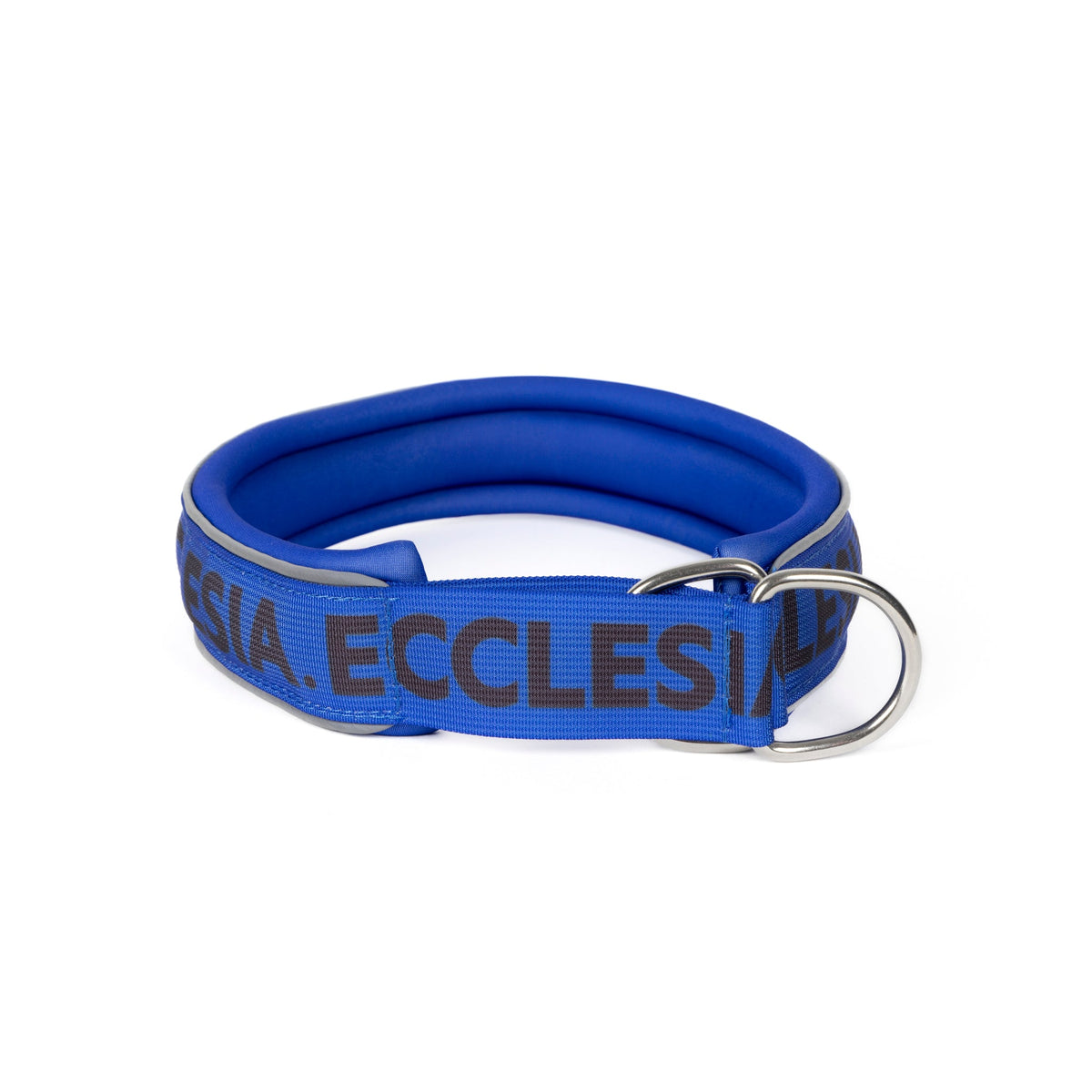 Ecclesia Slip-On Dog Collar in blue