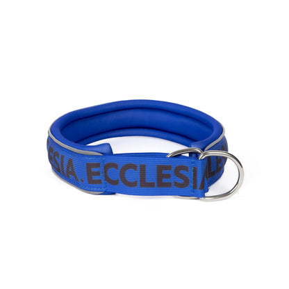 Ecclesia Slip-On Dog Collar in blue