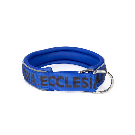 Ecclesia Slip-On Dog Collar in blue