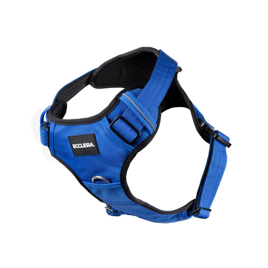 Ecclesia Premium Dog Harness in blue