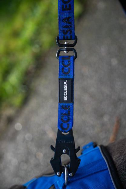 Close-up of the blue Ecclesia Combat Dog Leash clipped to a blue harness on a dog