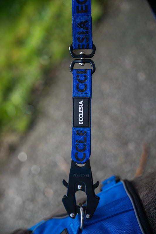 Close-up of the blue Ecclesia Combat Dog Leash clipped to a blue harness on a dog