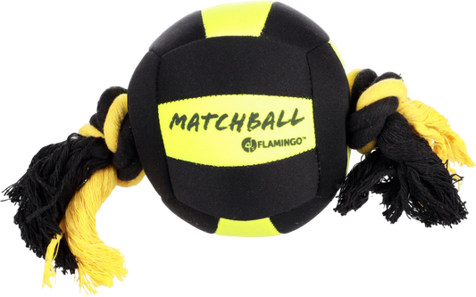 Flamingo Matchball Aqua Dog Toy