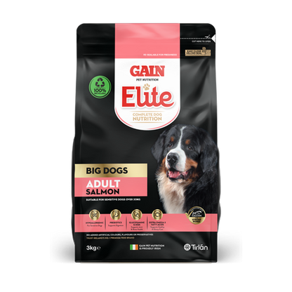 GAIN Elite Big Dogs Adult Salmon 3kg bag on transparent background