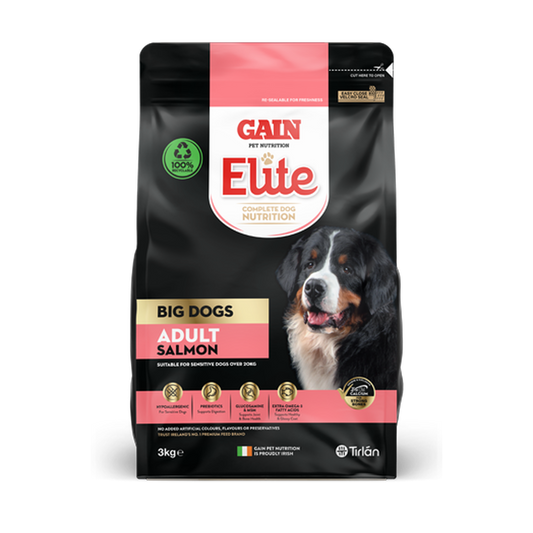 GAIN Elite Big Dogs Adult Salmon 3kg bag on transparent background