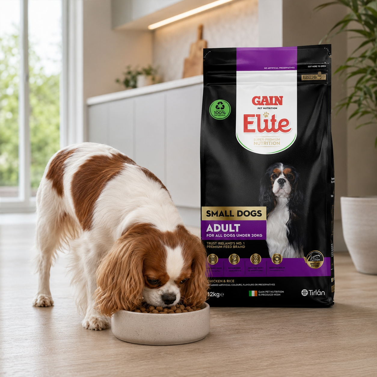GAIN Elite Small Dogs Adult