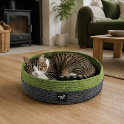 Adult cat resting in the green and charcoal Minus One Meadow cuddler