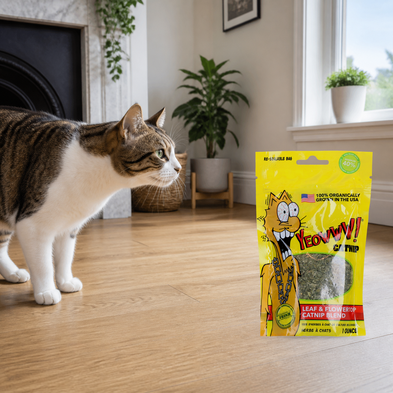 Cat investigating an unopened Yeowww organic catnip 28g pouch