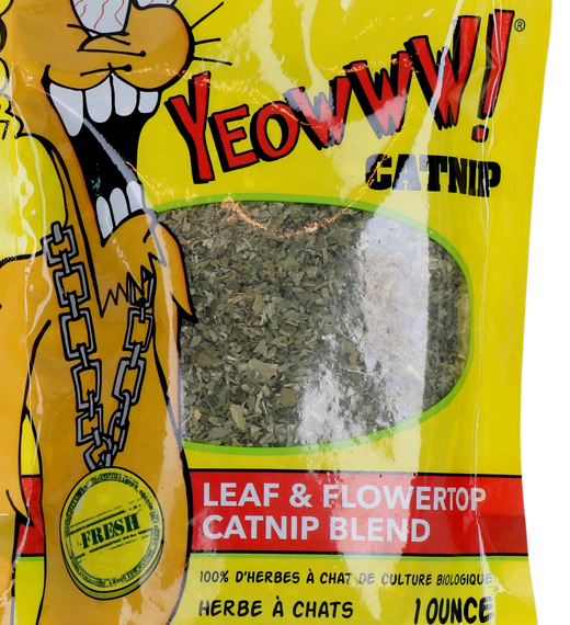 Close view of the leaf and flower-top catnip through the pouch window
