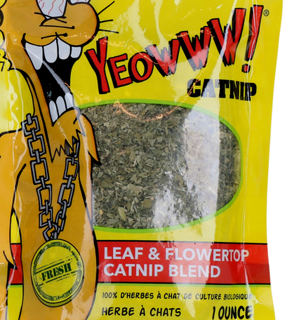 Close view of the leaf and flower-top catnip through the pouch window