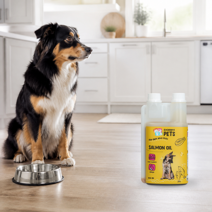 Excellent Pets Dog Salmon Oil 500ml bottle beside a dog and feeding bowl