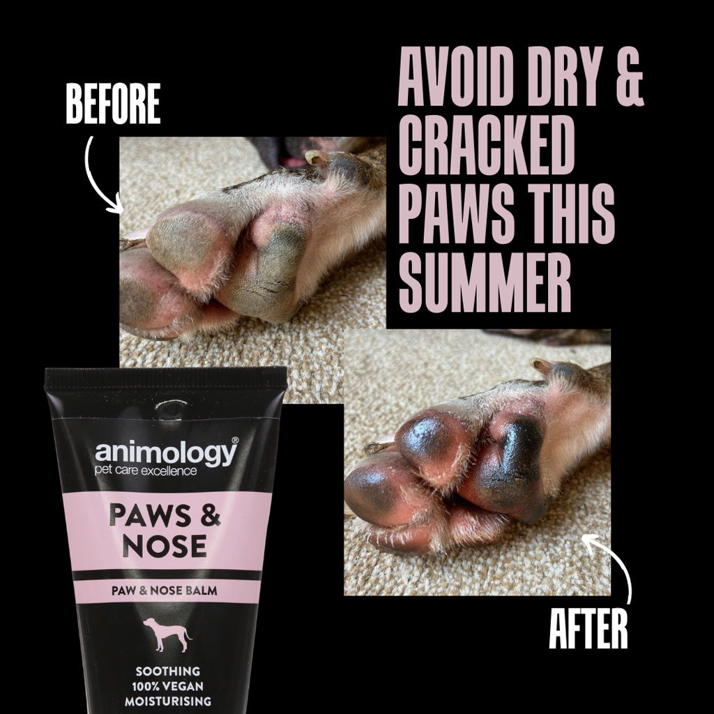 Animology Paws and Nose Balm with close views of dry and moisturised paw pads