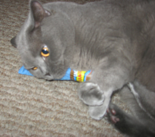 Cat playing with a blue Yeowww catnip cigar toy