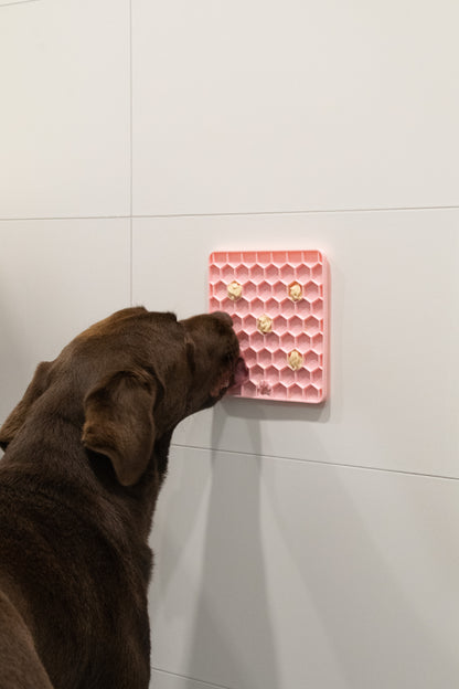 Dog licking a pink honeycomb lick mat fixed safely to a tiled wall