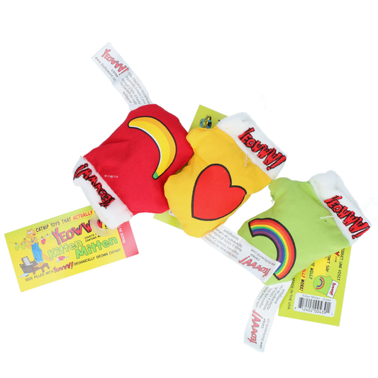 Assorted Yeowww Kitten Mitten catnip toys on a transparent background