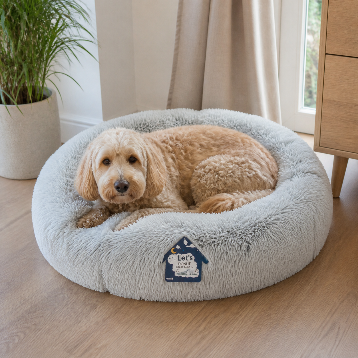 Medium dog resting in a light-grey 60cm donut bed in a bright living room