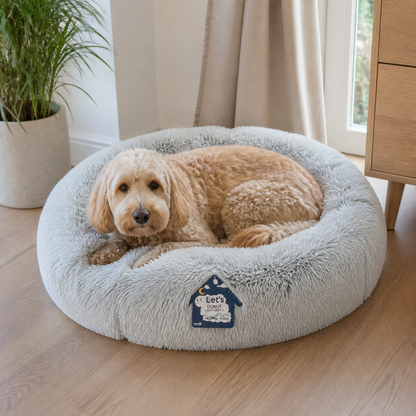 Medium dog resting in a light-grey 60cm donut bed in a bright living room