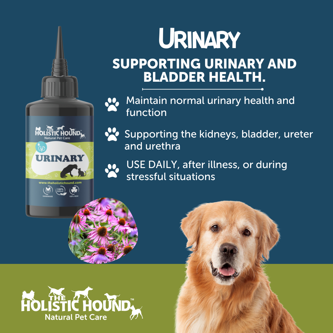 The Holistic Hound Fundamentals Urinary