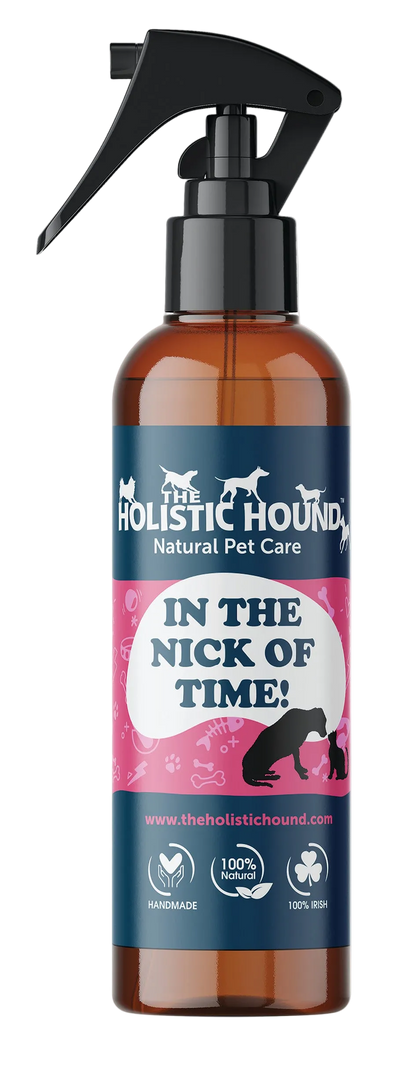 The Holistic Hound In The Nick Of Time