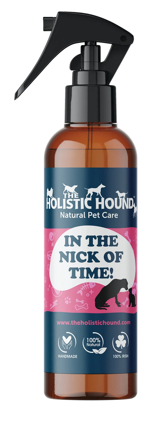 The Holistic Hound In The Nick Of Time