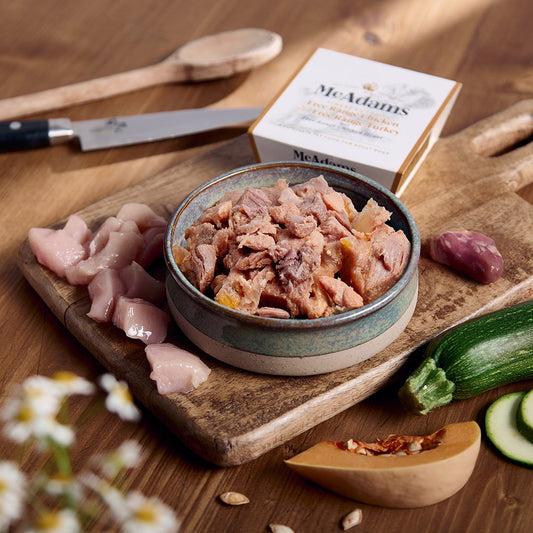 McAdams Chicken with Turkey and Heart wet dog food served in a bowl