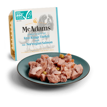 McAdams Free Range Turkey with Norwegian Salmon wet dog food 150g tray and serving