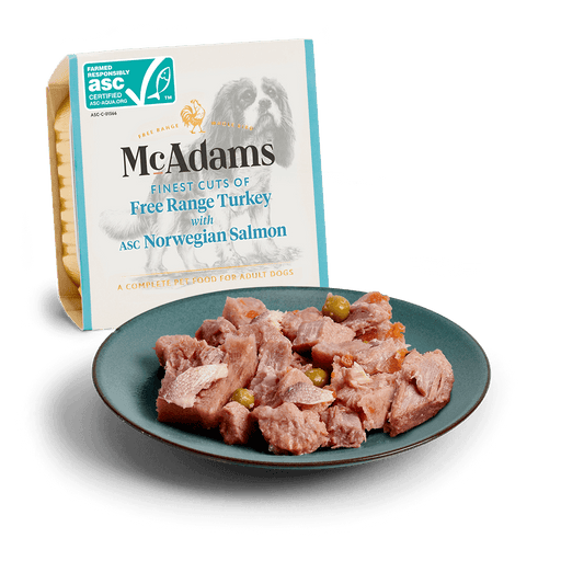 McAdams Free Range Turkey with Norwegian Salmon wet dog food 150g tray and serving