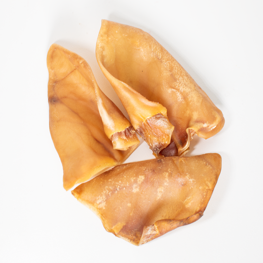 Natural pig ear dog chews on a white background