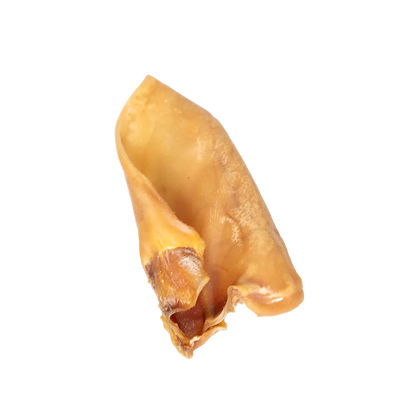 Single natural pig ear dog chew on a white background