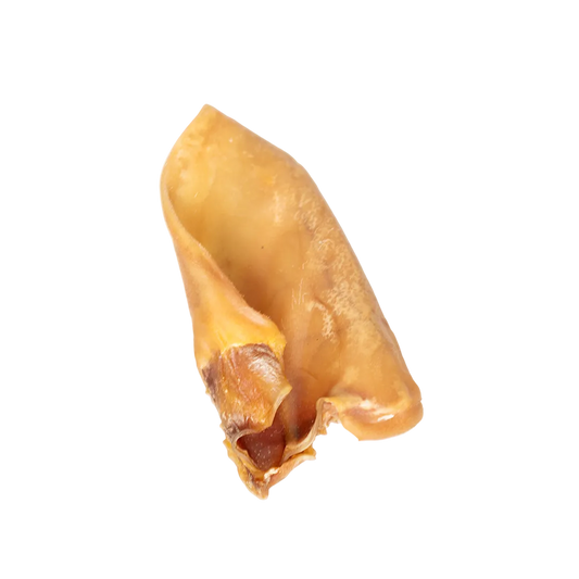 Single natural pig ear dog chew on a white background