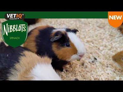 Nibblots Small Animal Treats