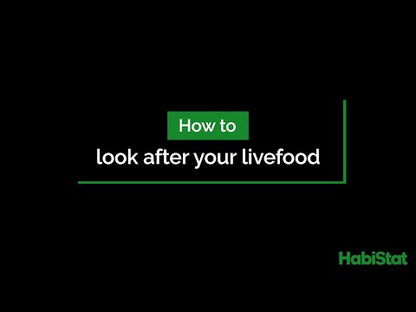 HabiStat Livefood Care Pack