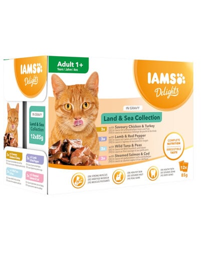 IAMS Land and Sea Gravy multipack