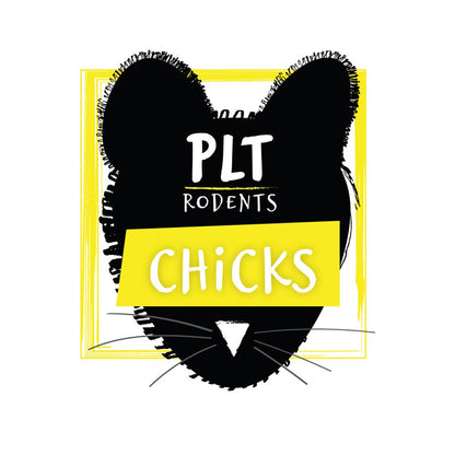 PLT frozen chicks product image