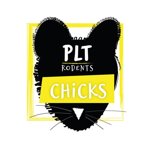 PLT frozen chicks product image