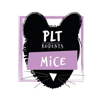PLT frozen mice product photo, 15g+ Small/Medium size