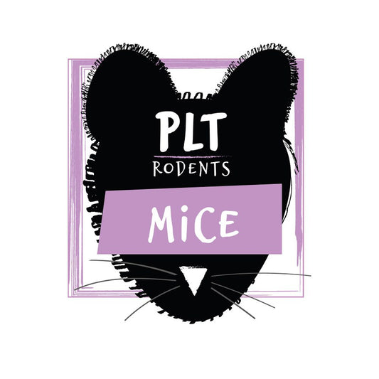 PLT frozen mice product photo, 15g+ Small/Medium size