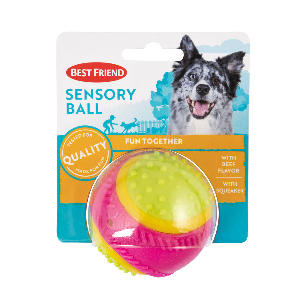 Best Friend Sensory Ball dog toy