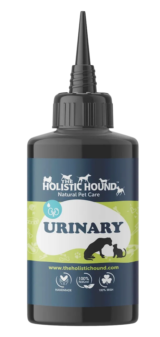 The Holistic Hound Fundamentals: Urinary