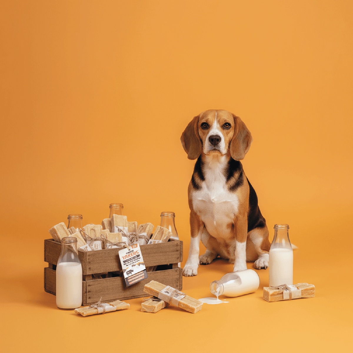 YAKERS Original Dog Chew lifestyle image